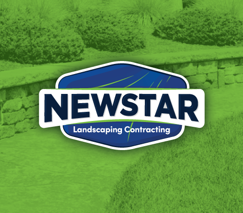 NEW STAR LANDSCAPING & CONSTRUCTION LLC logo
